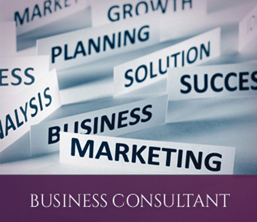 tammy levent business consultant