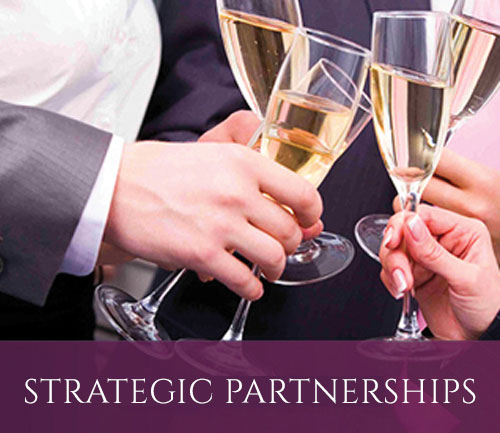 strategic partnerships tammy levent